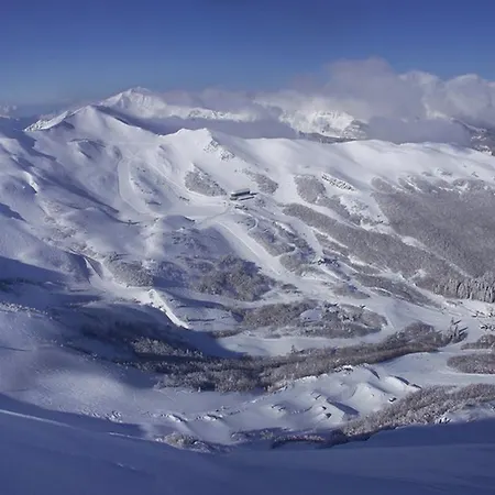 Neve E Sole In Val Di Luce *